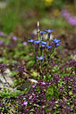 BUITEN BEELD Foto: 447407