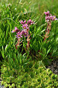 BUITEN BEELD Foto: 447409