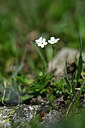BUITEN BEELD Foto: 447410