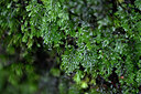 BUITEN BEELD Foto: 447412
