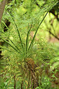 BUITEN BEELD Foto: 447413