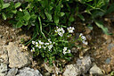 BUITEN BEELD Foto: 447417