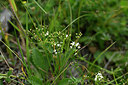 BUITEN BEELD Foto: 447418