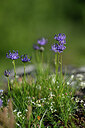 BUITEN BEELD Foto: 447423