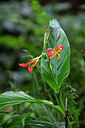 BUITEN BEELD Foto: 447424