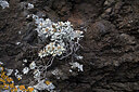 BUITEN BEELD Foto: 447428