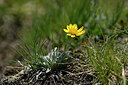 BUITEN BEELD Foto: 447431