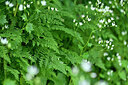 BUITEN BEELD Foto: 447434