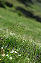 BUITEN BEELD Foto: 447435