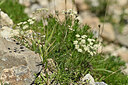 BUITEN BEELD Foto: 447438