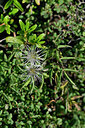 BUITEN BEELD Foto: 447442