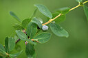 BUITEN BEELD Foto: 447447