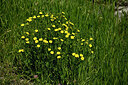 BUITEN BEELD Foto: 447448