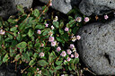 BUITEN BEELD Foto: 447453