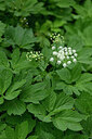BUITEN BEELD Foto: 447454