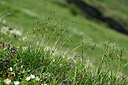 BUITEN BEELD Foto: 447455