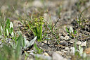 BUITEN BEELD Foto: 447456