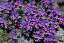BUITEN BEELD Foto: 447458