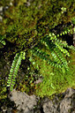 BUITEN BEELD Foto: 447460