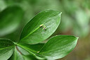 BUITEN BEELD Foto: 447463
