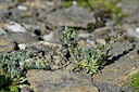 BUITEN BEELD Foto: 447469