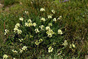 BUITEN BEELD Foto: 447471