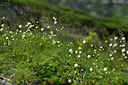 BUITEN BEELD Foto: 447482