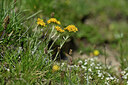 BUITEN BEELD Foto: 447486