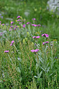 BUITEN BEELD Foto: 447494