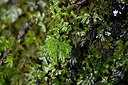 BUITEN BEELD Foto: 447495
