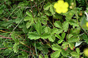 BUITEN BEELD Foto: 447497