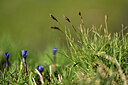 BUITEN BEELD Foto: 447502