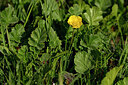 BUITEN BEELD Foto: 447505