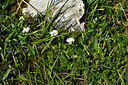 BUITEN BEELD Foto: 447506