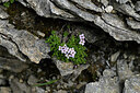 BUITEN BEELD Foto: 447511