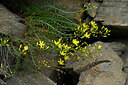 BUITEN BEELD Foto: 447513