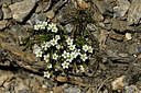 BUITEN BEELD Foto: 447514