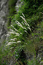 BUITEN BEELD Foto: 447517