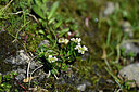 BUITEN BEELD Foto: 447522