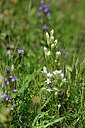 BUITEN BEELD Foto: 447524