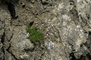 BUITEN BEELD Foto: 447529