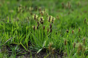 BUITEN BEELD Foto: 447530