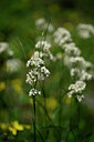 BUITEN BEELD Foto: 447531
