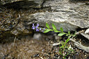BUITEN BEELD Foto: 447532