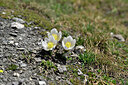 BUITEN BEELD Foto: 447535