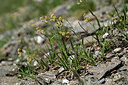 BUITEN BEELD Foto: 447536