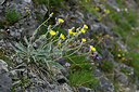 BUITEN BEELD Foto: 447538
