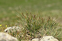 BUITEN BEELD Foto: 447540