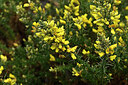 BUITEN BEELD Foto: 447541