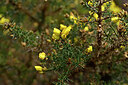 BUITEN BEELD Foto: 447544